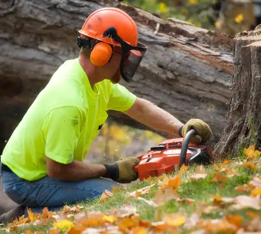 tree services Plains